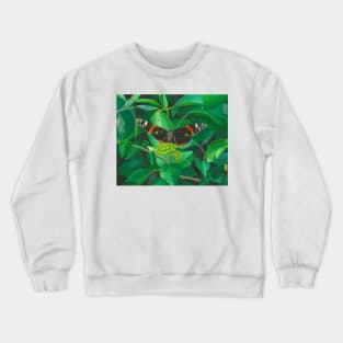 red admiral - green eyes Crewneck Sweatshirt